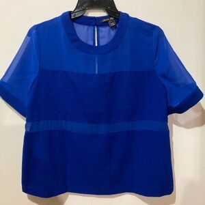 Sandra Darren Royal Blue Blouse with Sheer Sleeves